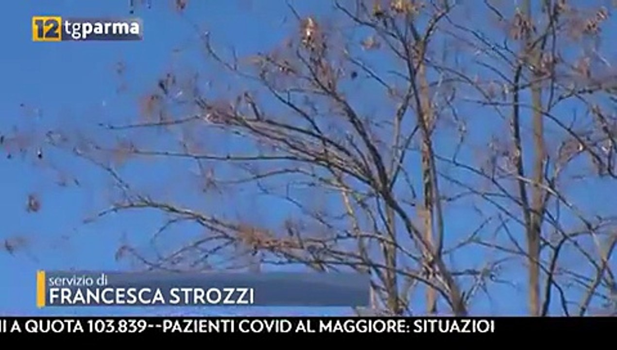 maltempo e vento allerta
