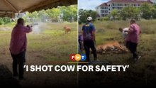 I shot aggressive cow for safety, says Perlis MB