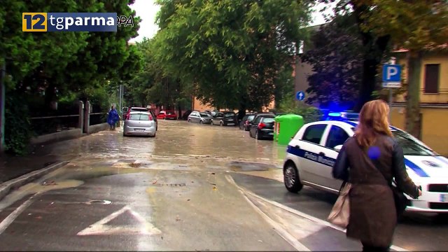 DIECI ANNI FA L'ALLUVIONE A PARMA: OCCORRONO OPERE DI PREVENZIONE | DIECI ANNI FA L'ALLUVIONE A PARMA: OCCORRONO OPERE DI PREVENZIONE