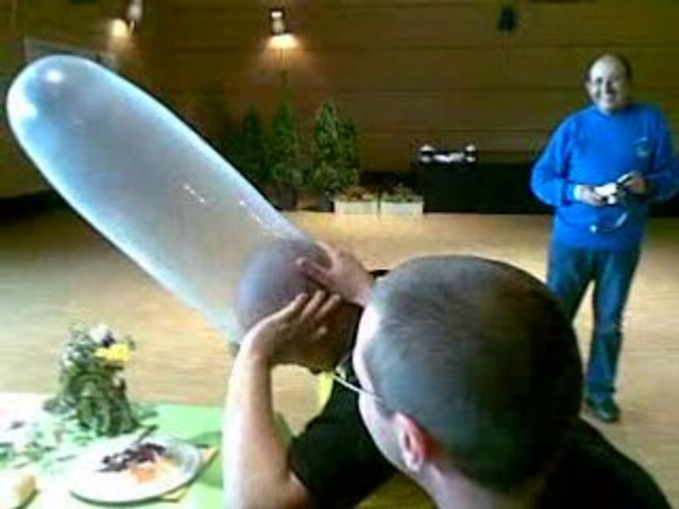 LUCON Tête de bipppppppp 2