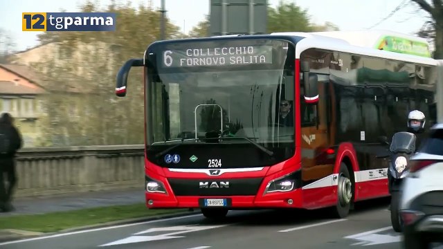 AUTISTA TEP AGGREDITO: DENUNCIATI ALTRI DUE GIOVANI STRANIERI | AUTISTA TEP AGGREDITO: DENUNCIATI ALTRI DUE GIOVANI STRANIERI