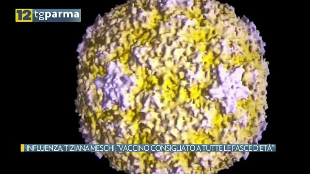 INFLUENZA, TIZIANA MESCHI: VACCINO CONSIGLIATO A TUTTE LE FASCE D'ETÀ | INFLUENZA, TIZIANA MESCHI: VACCINO CONSIGLIATO A TUTTE LE FASCE D'ETÀ