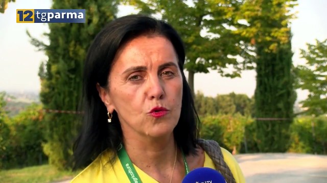 REGIONALI, IL PD DI PARMA UFFICIALIZZA LA LISTA: 5 CANDIDATI | REGIONALI, IL PD DI PARMA UFFICIALIZZA LA LISTA: 5 CANDIDATI