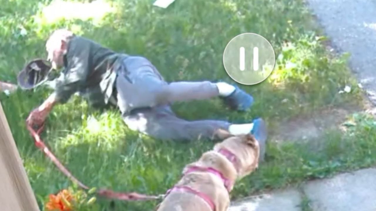 Noble man takes one for the earthlings to find out if gravity still works *Funny Fall*