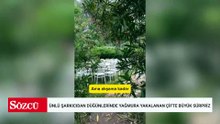 Ünlü şarkıcıdan düğünlerinde yağmura yakalanan çifte büyük sürpriz
