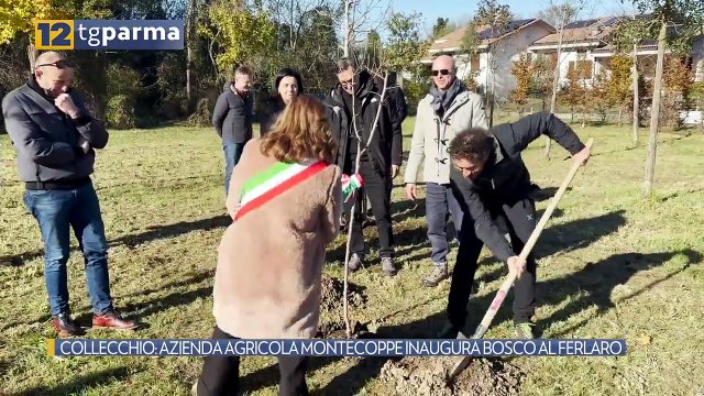 COLLECCHIO: AZIENDA AGRICOLA MONTECOPPE INAUGURA BOSCO AL FERLARO | COLLECCHIO: AZIENDA AGRICOLA MONTECOPPE INAUGURA BOSCO AL FERLARO