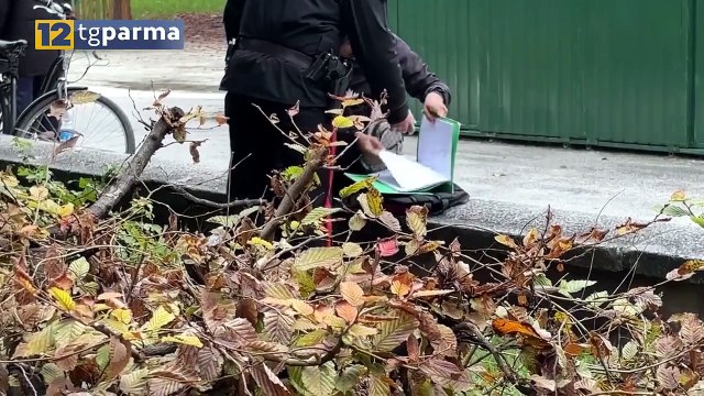 POSTI DI BLOCCO E SPACCIO, IN AUTO COI CARABINIERI DURANTE I CONTROLLI | POSTI DI BLOCCO E SPACCIO, IN AUTO COI CARABINIERI DURANTE I CONTROLLI