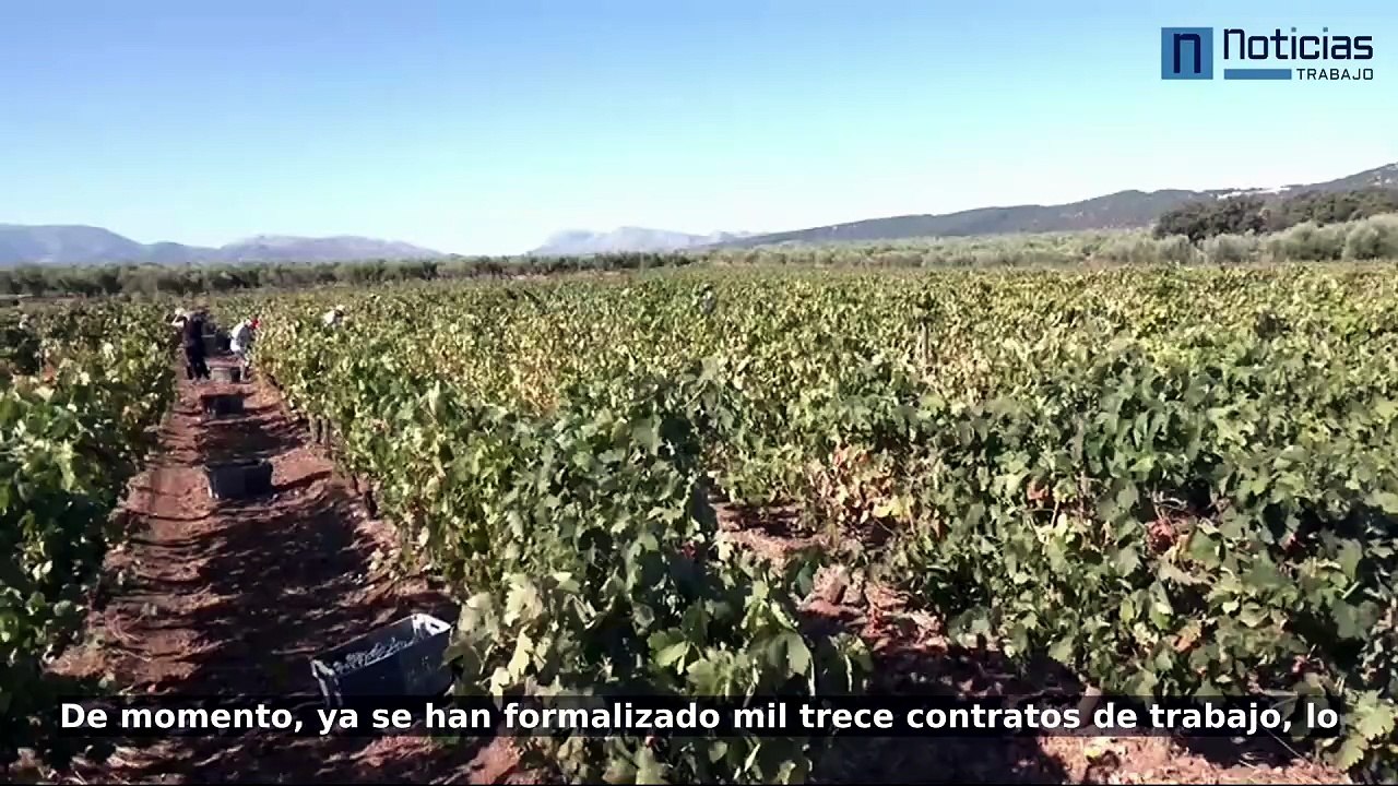 Migraciones impulsa 1.800 vacantes agrícolas para refugiados y solicitantes de asilo