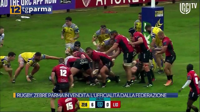 RUGBY, ZEBRE PARMA IN VENDITA: L'UFFICIALITÀ DALLA FEDERAZIONE | RUGBY, ZEBRE PARMA IN VENDITA: L'UFFICIALITÀ DALLA FEDERAZIONE