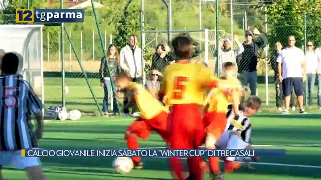CALCIO GIOVANILE, INIZIA SABATO LA WINTER CUP DI TRECASALI | CALCIO GIOVANILE, INIZIA SABATO LA WINTER CUP DI TRECASALI