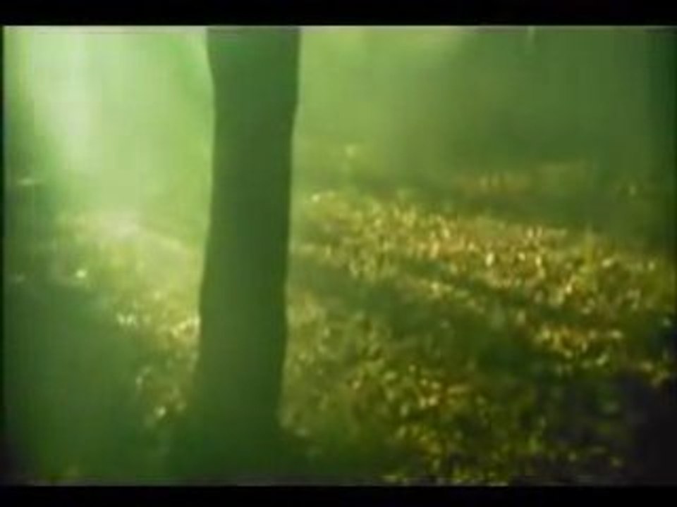 Yoko Ishida - Open Your Mind (PV)