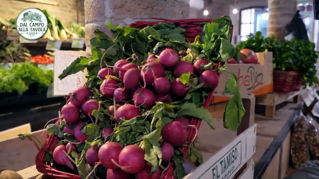 Dal campo alla tavola - 1a puntata del 03-11-24 | Dal campo alla tavola - 1a puntata del 03-11-24