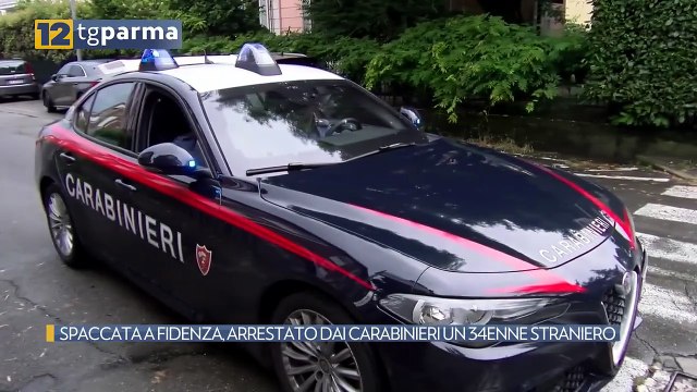 SPACCATA A FIDENZA, ARRESTATO DAI CARABINIERI UN 34ENNE STRANIERO | SPACCATA A FIDENZA, ARRESTATO DAI CARABINIERI UN 34ENNE STRANIERO