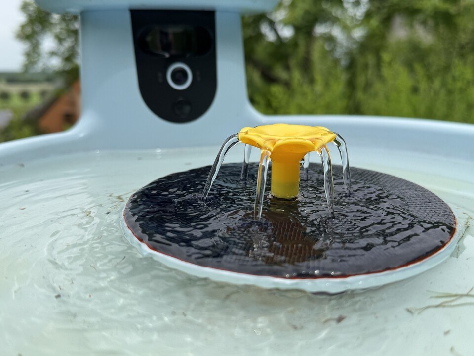 Birdfy Bath Pro Smarte Vogeltränke