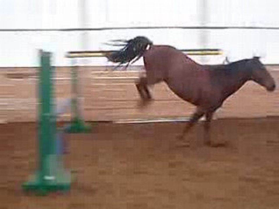 Cognac en saut 5