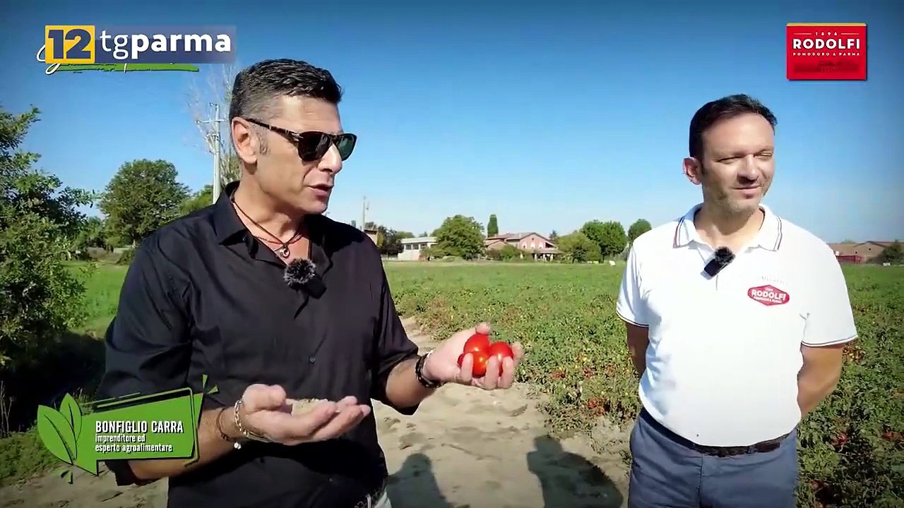 12 TV PARMA, ALLE 21,30 DEBUTTA "GUSTO E TRADIZIONE" | 12 TV PARMA, ALLE 21,30 DEBUTTA "GUSTO E TRADIZIONE"