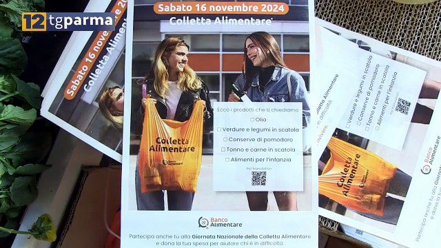 COLLETTA ALIMENTARE, OGGI LA 28^ EDIZIONE ANCHE A PARMA E PROVINCIA | COLLETTA ALIMENTARE, OGGI LA 28^ EDIZIONE ANCHE A PARMA E PROVINCIA