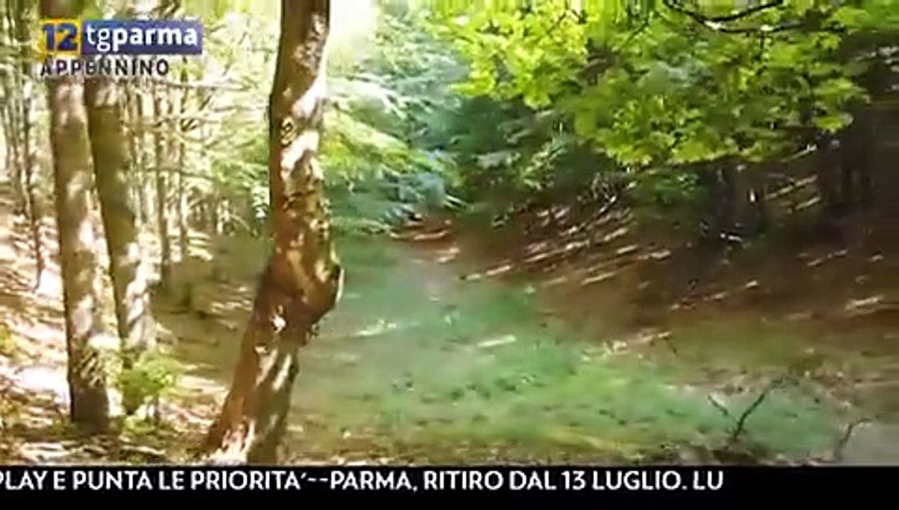 RICERCHE 3 6 2021