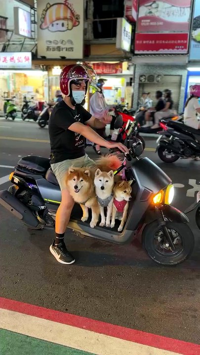 Oh my god! What a heartwarming scene! I'm dying from how cute it is! 🥰🥰🥰