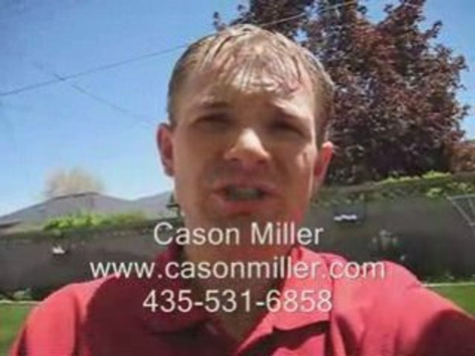 Online MLM Business Opportunities