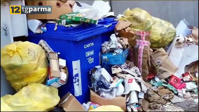 RIFIUTI, DISCARICHE A CIELO APERTO IN VIA SAVANI E VIA CECCHI | RIFIUTI, DISCARICHE A CIELO APERTO IN VIA SAVANI E VIA CECCHI
