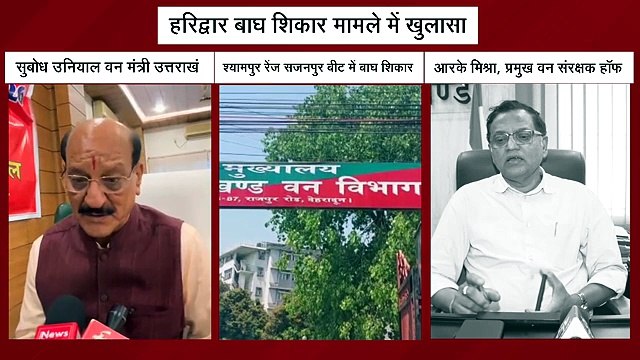 हरिद्वार बाघ शिकार मामला: जहर देकर शिकारियों ने डंडों से भी किया हमला, पोस्टमार्टम रिपोर्ट में पुष्टि