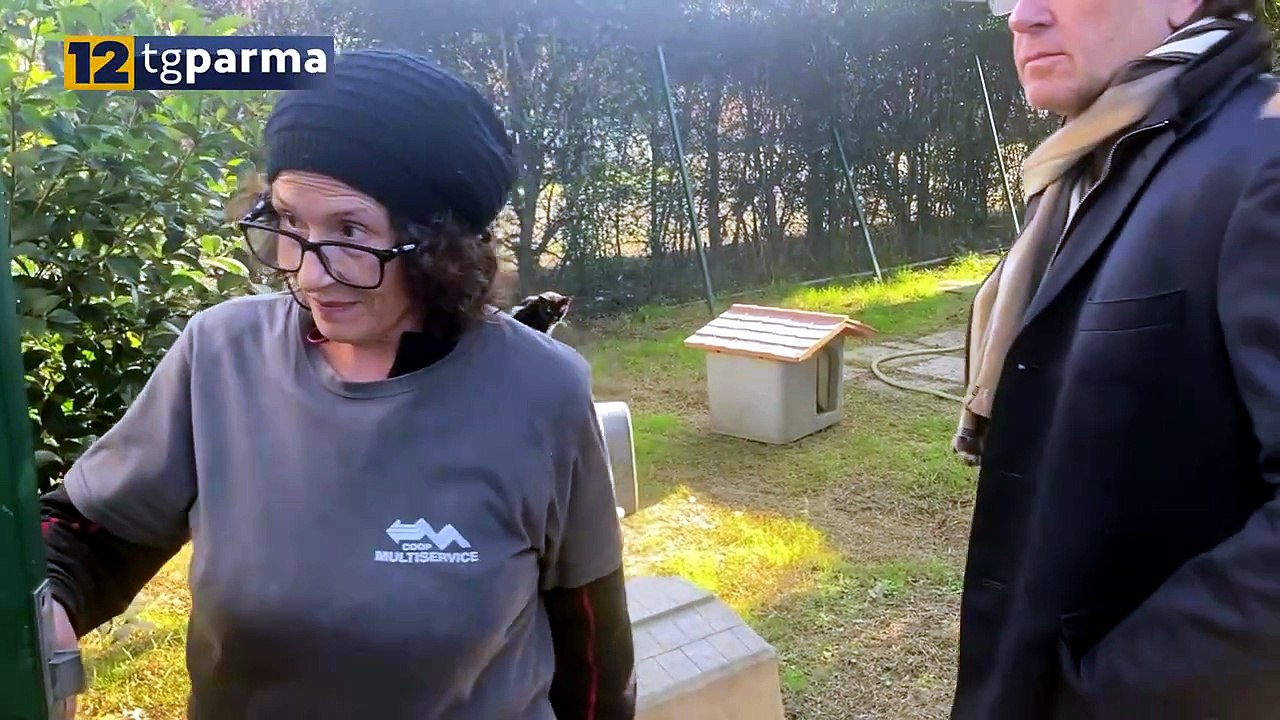 CANILE COMUNALE, VIGNALI ATTACCA: "TROPPI PROBLEMI IRRISOLTI" | CANILE COMUNALE, VIGNALI ATTACCA: "TROPPI PROBLEMI IRRISOLTI"
