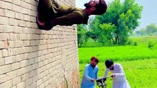 Funny and comedy videos