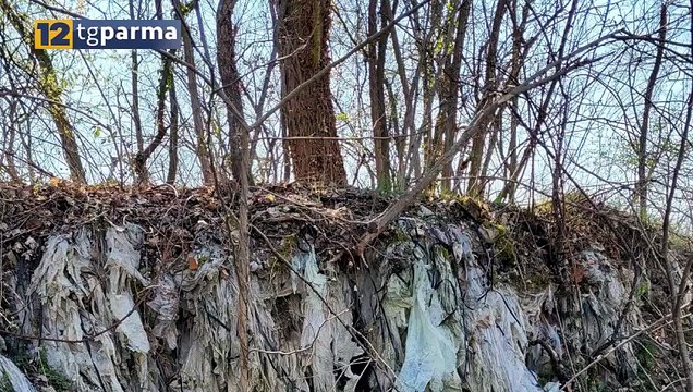 FELINO, 600 FIRME PER CHIEDERE LA RIMOZIONE DEI RIFIUTI NEL TORRENTE BAGANZA | FELINO, 600 FIRME PER CHIEDERE LA RIMOZIONE DEI RIFIUTI NEL TORRENTE BAGANZA