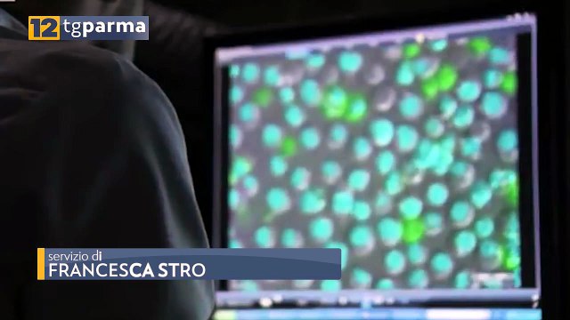 STASERA ALLE 21 A CHECK UP SU 12 TV PARMA SI PARLA DI PREVENZIONE E TUMORI | STASERA ALLE 21 A CHECK UP SU 12 TV PARMA SI PARLA DI PREVENZIONE E TUMORI