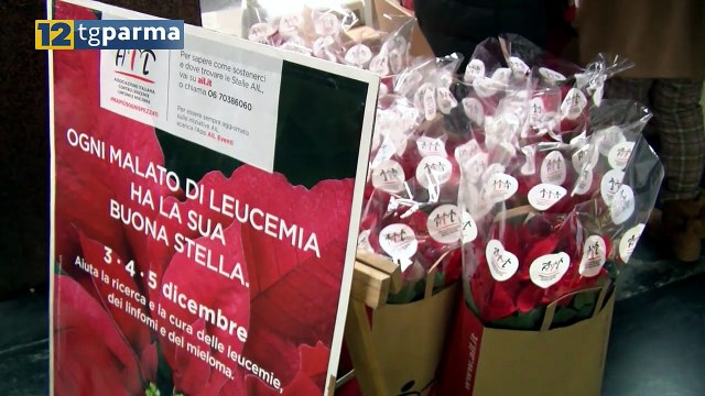 ADDIO ALL'EMATOLOGO VITTORIO RIZZOLI, AVEVA 86 ANNI. ERA PRESIDENTE DELL'AIL | ADDIO ALL'EMATOLOGO VITTORIO RIZZOLI, AVEVA 86 ANNI. ERA PRESIDENTE DELL'AIL