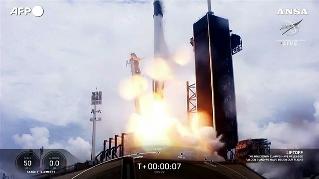 Calamari nello spazio: ecco cosa portera' il razzo SpaceX sulla Iss