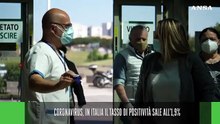 Ansa Live ore 19