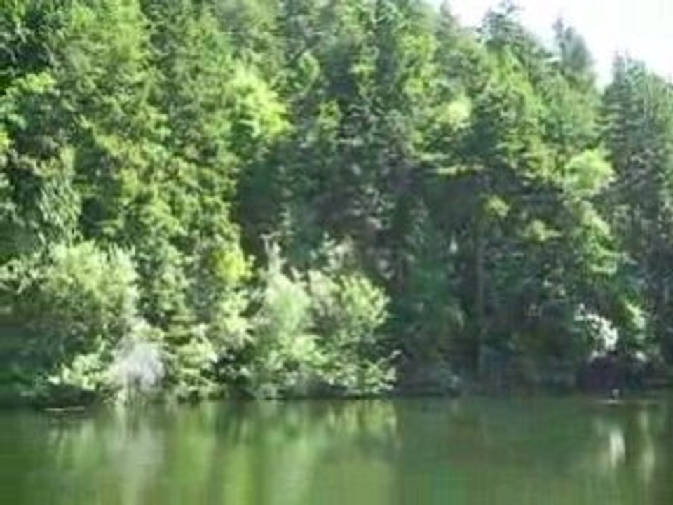 Panorama du lac sur l'île de Decatur