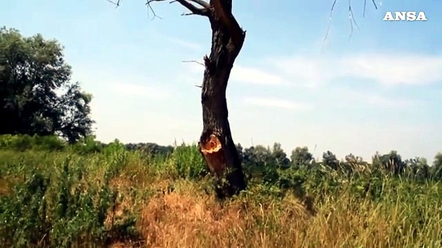 Clima: perdita 80 milioni di posti di lavoro entro il 2030