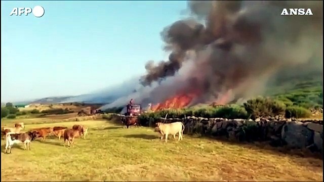 Ondata di caldo in Spagna: incendi fuori controllo a Navalacruz e A'vila