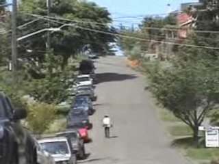 freebord seattle