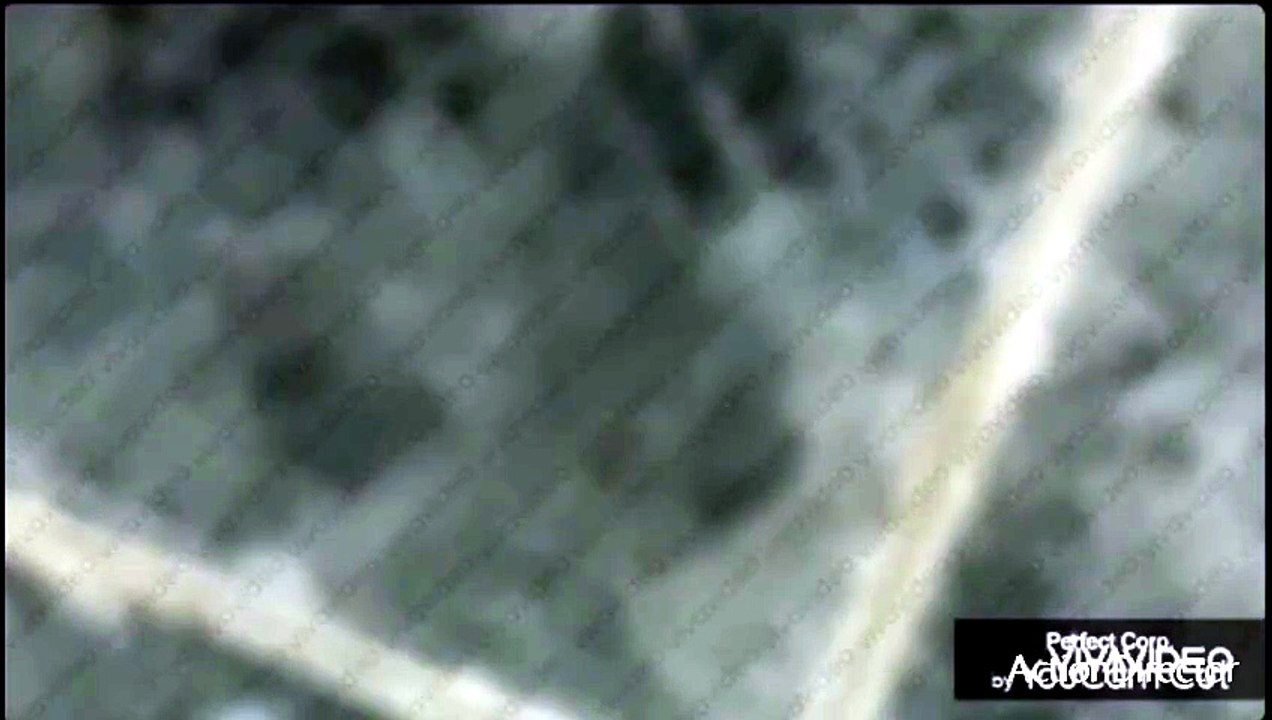 1000001540