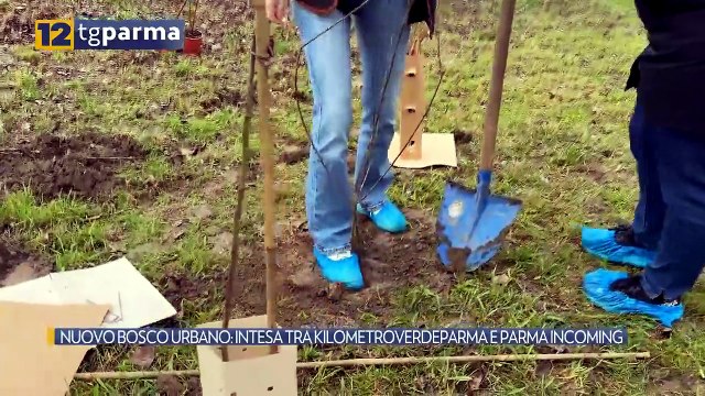 NUOVO BOSCO URBANO: INTESA TRA KILOMETROVERDEPARMA E PARMA INCOMING | NUOVO BOSCO URBANO: INTESA TRA KILOMETROVERDEPARMA E PARMA INCOMING