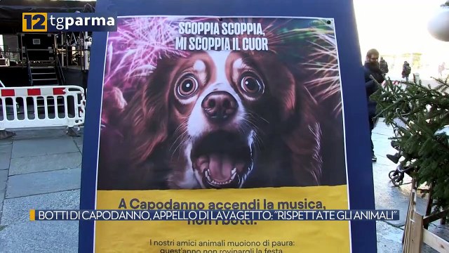 BOTTI DI CAPODANNO, APPELLO DI LAVAGETTO: RISPETTATE GLI ANIMALI | BOTTI DI CAPODANNO, APPELLO DI LAVAGETTO: RISPETTATE GLI ANIMALI