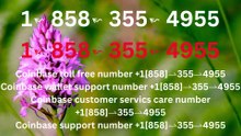 {{ＯFFICIAL}}™ {[GUIDE]} ⁂Coinbase® Toll free© helpline® Numbers Contact⁂ (24/7) Live Person Care)