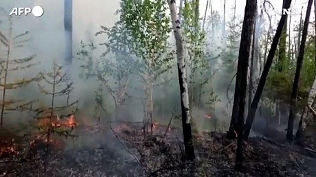 Siberia, incendi in Yakuzia devastano oltre 1,5 milioni di ettari di taiga
