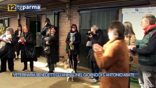 VETERINARIA: BENEDETTI GLI ANIMALI NEL GIORNO DI S. ANTONIO ABATE | VETERINARIA: BENEDETTI GLI ANIMALI NEL GIORNO DI S. ANTONIO ABATE
