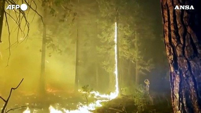 Incendi in California, 70 mila ettari di vegetazione distrutti dalle fiamme