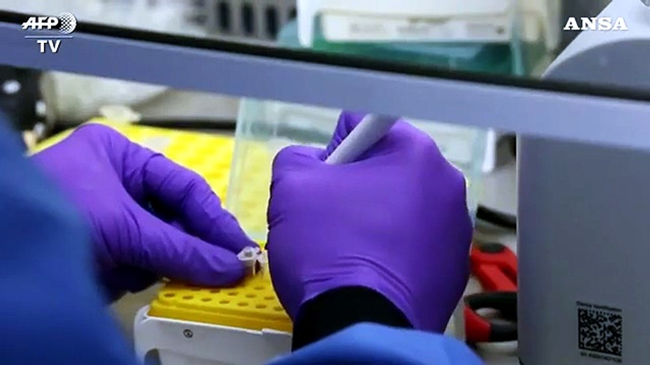 Coronavirus: partiti i test per 5 vaccini italiani