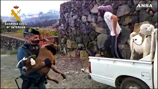 Erutta un vulcano alle Canarie, 2