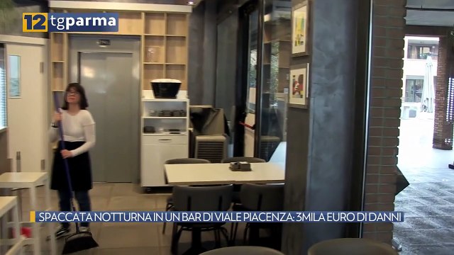 SPACCATA NOTTURNA IN UN BAR DI VIALE PIACENZA: 3MILA EURO DI DANNI | SPACCATA NOTTURNA IN UN BAR DI VIALE PIACENZA: 3MILA EURO DI DANNI