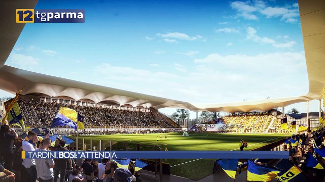 TARDINI, BOSI: ATTENDIAMO DAL PARMA LE ULTIME VALUTAZIONI | TARDINI, BOSI: ATTENDIAMO DAL PARMA LE ULTIME VALUTAZIONI