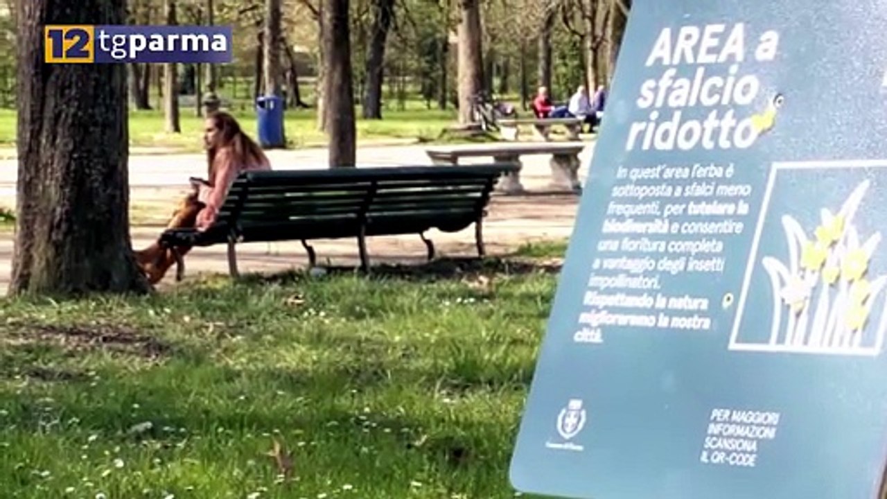VERDE URBANO, IN CHIUSURA IL PRIMO CICLO DI SFA...