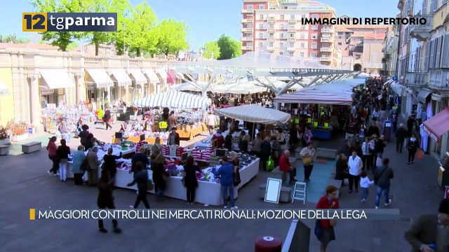 MAGGIORI CONTROLLI NEI MERCATI RIONALI: MOZIONE DELLA LEGA | MAGGIORI CONTROLLI NEI MERCATI RIONALI: MOZIONE DELLA LEGA